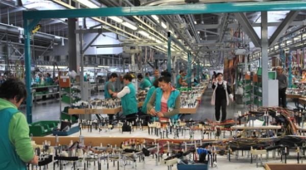 dr xlmaier group fabrica inchisa la pite ti 800 de angaja i trimi i acasa