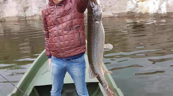 grindeanu dragnea nu sta bine la acest domeniu