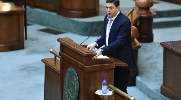redefinire familiei erban nicolae proiectul trebuia votat de camera deputa ilor