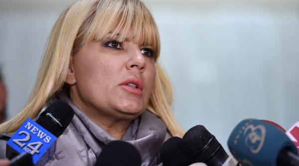 sentin a elenei udrea apel la inalta curte de casa ie i justi ie