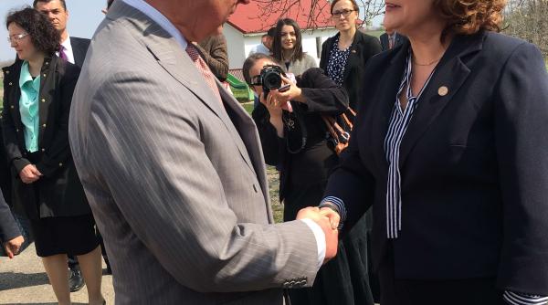 rovana plumb ceea ce face printul charles este o minunata lec ie despre valorile culturale