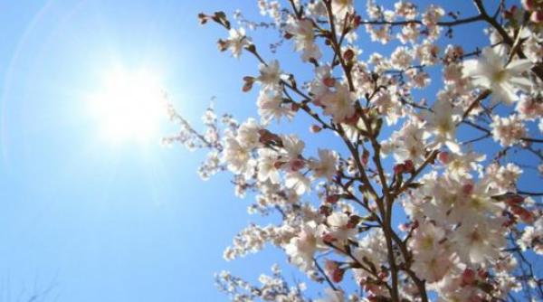 prognoza meteo vremea in urmatoarele patru zile