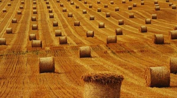 incendiu mare 15 000 de baloti de paie ar i