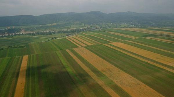 firstfarms extindere dublarea suprafe ei cultivate pana in 2020