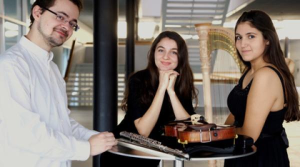 stagiunea de mar i seara trio solaire din z rich la bucure ti