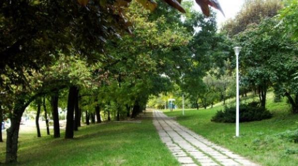 proiect revolu ionar parc i biblioteca in aer liber