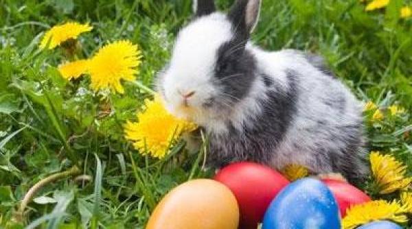 vremea de pa te 2017 prognoza meteo emisa de anm pe regiuni