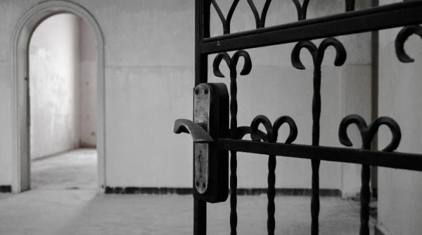 art safari bucure ti la a 4 a edi ie 7 000 m2 de arta in centrul bucure tiului