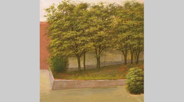 discursuri artistice contemporane pe simezele clujene