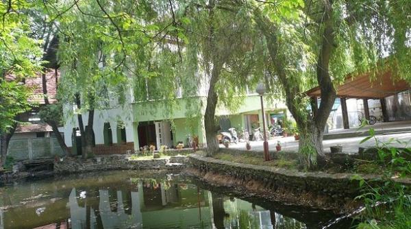 vacan a de pa te destina ia surpriza aleasa de romani