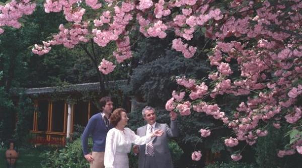 dezvaluiri din casa lui nicolae ceau escu pa tele in cartierul interzis cine era dumnezeul comuni tilor