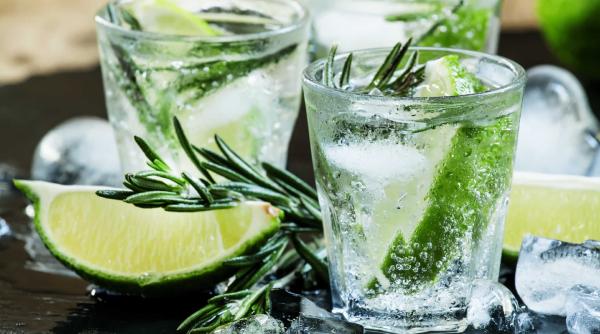 sa bem pana la fund ce face un pahar de gin pentru metabolismul nostru