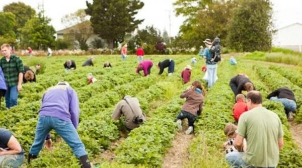 legea zilierilor modificata in camera deputa ilor
