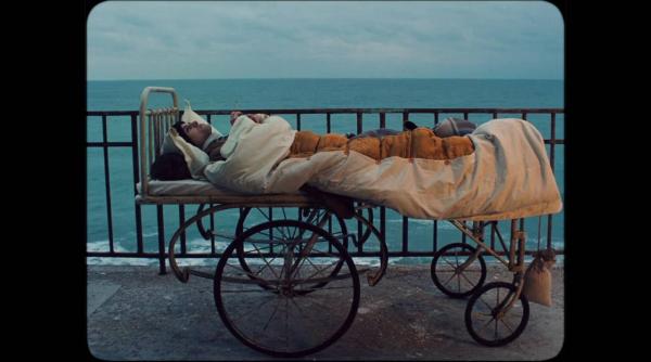 filmul inimi cicatrizate deschide festivalul balkan trafik de la bruxelles