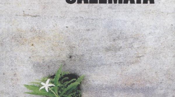 tudor ganea la festivalul european al romanului de debut