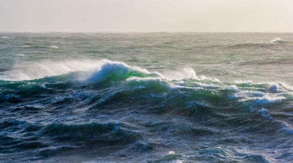 expozitii de neratat la teatrul national din bucuresti