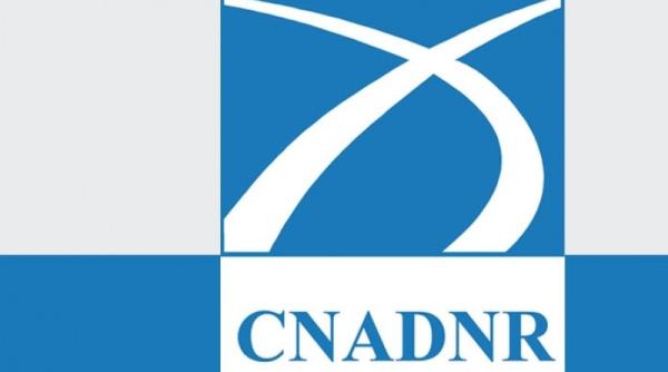 director cnadnr trimis in judecata mita ceruta