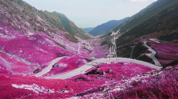 expozitia carpethian de felicia simion la belgrade photo month festival