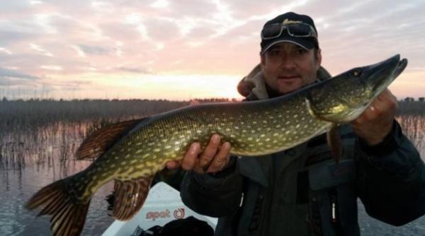 cine este malin mu atescu noul guvernator al deltei dunarii