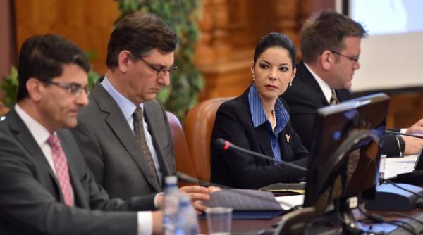 birchall raspuns pentru ciolo dupa atacul asupra guvernului