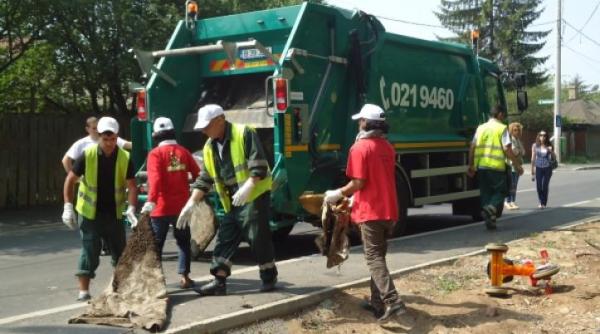 padurea baneasa ecologizata de primaria sectorului 1 i de catre comunitatea locala