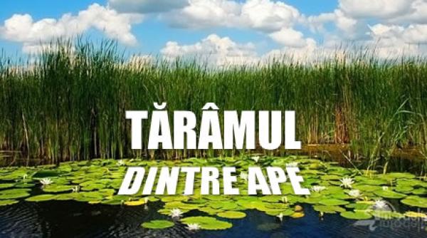 documentarul video taramul dintre ape la serile filmului romanesc