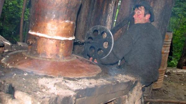 legi mai bune pentru producatorii de tuica petru daea interpelat de un deputat dambovi ean