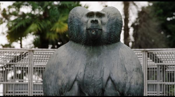 ouale lui tarzan in premiera mondiala la tiff