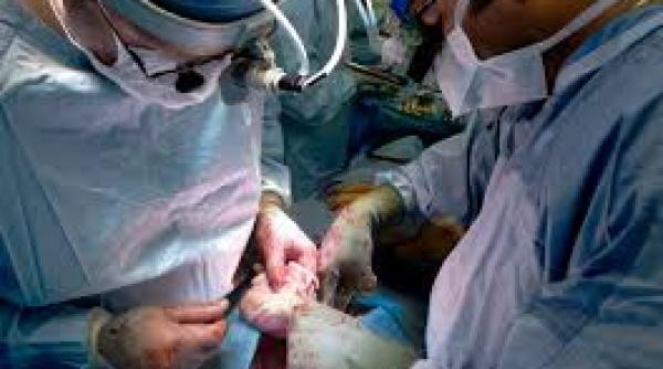 procedura controversata in cancer transplantarea testiculelor in zona gatului