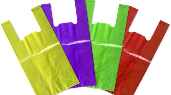 pungile de plastic interzise propunere usr