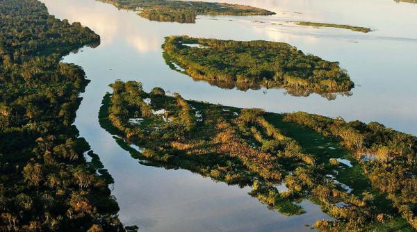 per amaz nico la bucuresti
