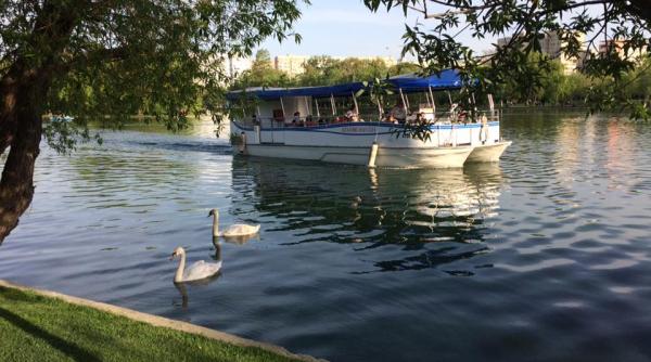 poli ia cauta opt boboci de lebada fura i din parcul ior
