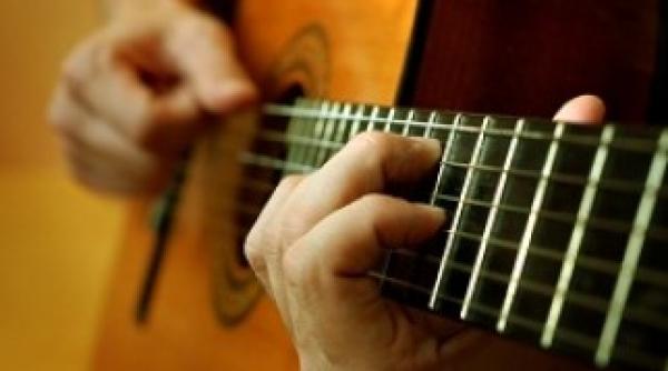 chitara a lui jerry garcia vanduta cu o suma imensa