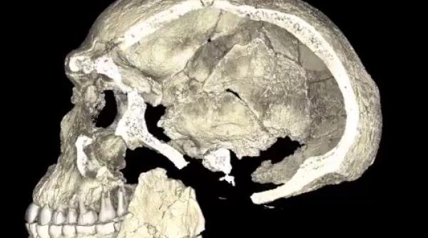 homo sapiens specie cu 100 000 de ani mai veche decat s a crezut