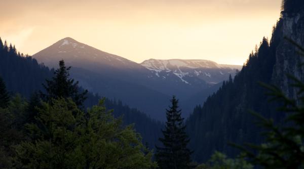 filmul documentar wild carpathia seasons of change la onu
