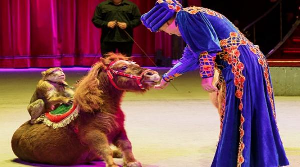 folosirea animalelor in circuri interzise