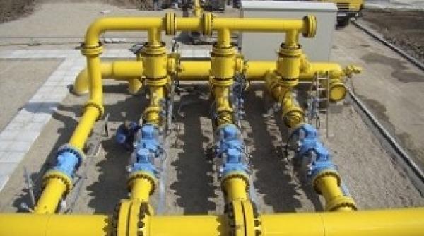 transgaz conducere noua procedura demarata