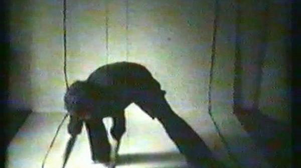 talk catherine de zegher geta bratescu a studio of one s own