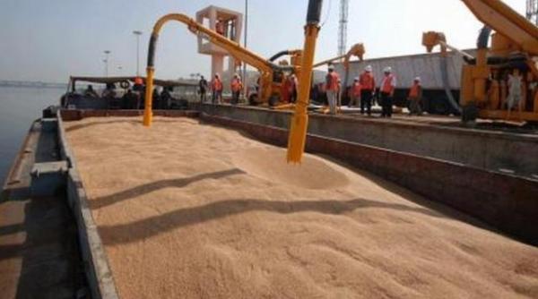 agricultura romaneasca bate record dupa record afacerile din sectorul cerealelor s au dublat in ultimii 7 ani analiza keysfin