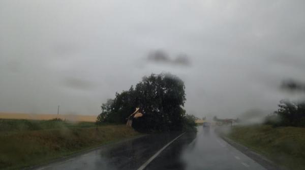 prapad la un festival din ia i cort prabu it persoane ranite