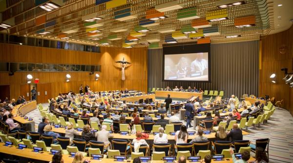 filmul documentar wild carpathia seasons of change prezentat in premiera la new york