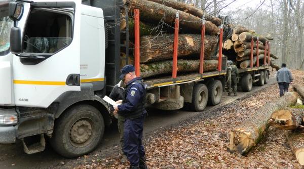 radarul padurilor doina pana anun a o noua masura pentru combaterea defri arilor ilegale