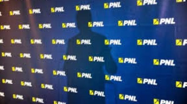 5000 de euro pentru 10 la bac promisiunea pnl giurgiu