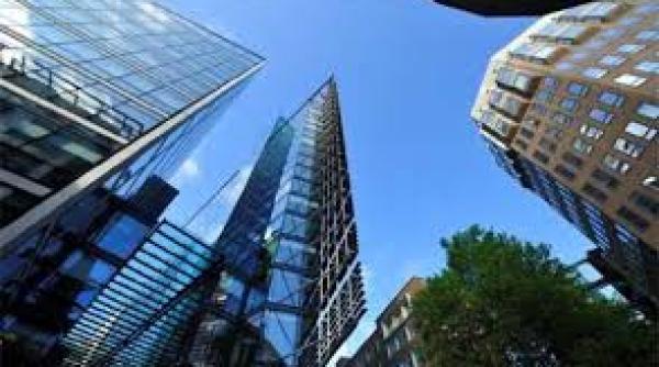 top cele mai profitabile domenii din romania