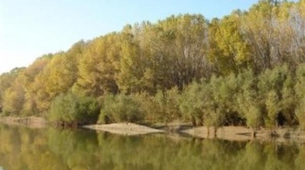 seceta in regiunile agricole dunarea debit la jumatate