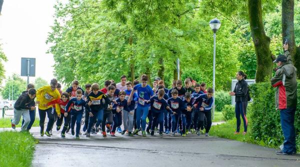 cros uri in bucure ti bra ov i ploie ti inscreieri online