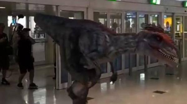dinozaurii au dat navala pe aeroportul din dubai