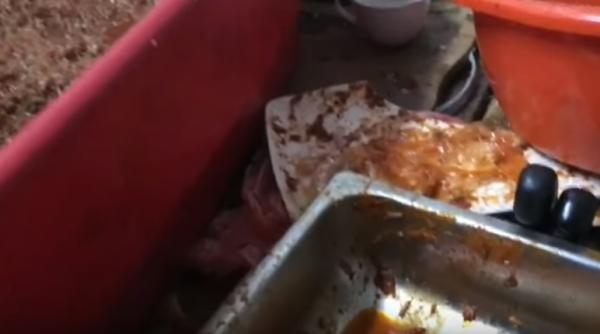 imagini horror la un restaurant cunoscut din constanta