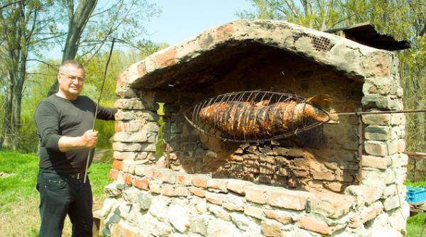 mircea dinescu lovitura pe plan financiar