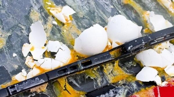 politician atacat cu oua la propria nunta